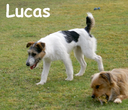 Lucas_DSC00093_mN