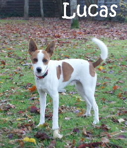 Lucas_DSC05648_mN