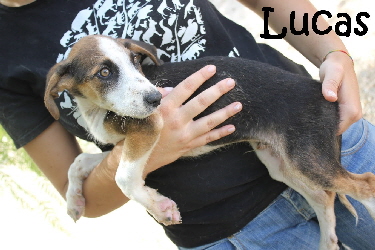 Lucas_IMG_8884