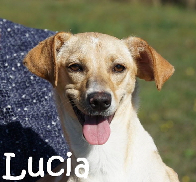 Lucia_DSC08000_mN