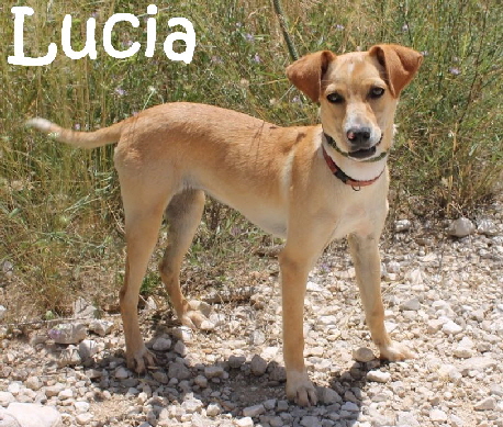 Lucia_IMG_0354_mN