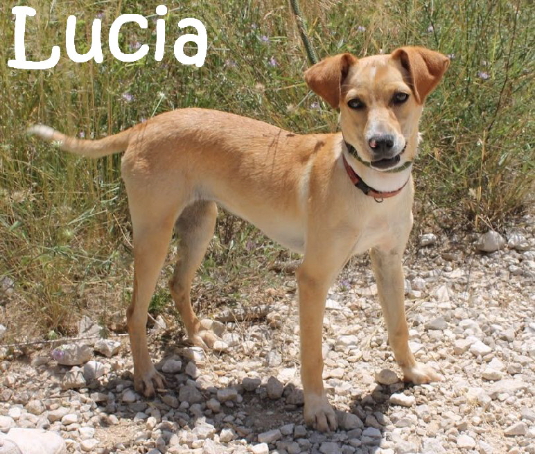 Lucia_IMG_0354_mN