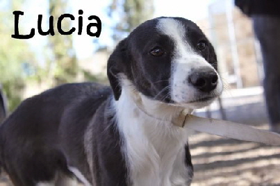 Lucia_IMG_4982_mitName