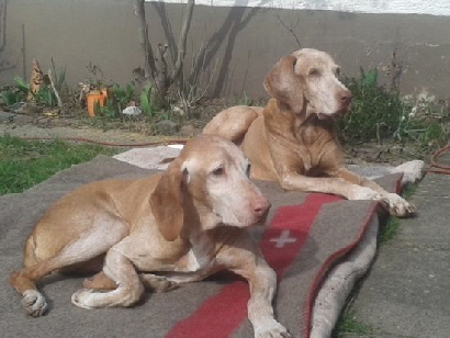 Lucky_20150316_130403