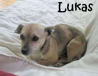 Lukas3