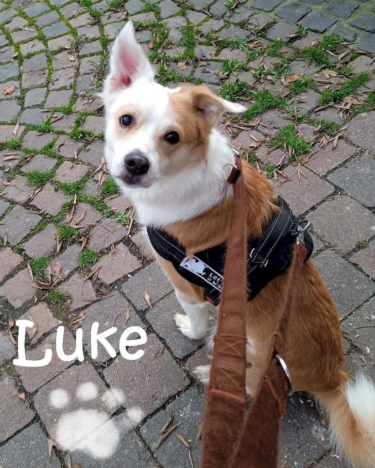 Luke_IMG-20211126-WA0000_mN