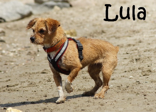 Lula+Co_DSC05104_mitName