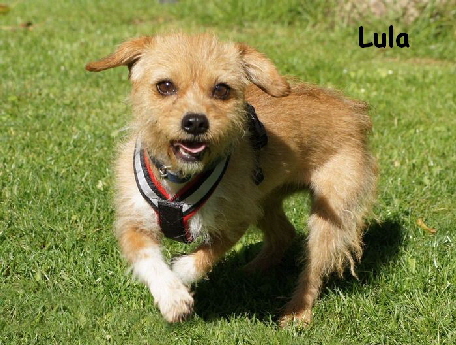 Lula_DSC03544_mitName