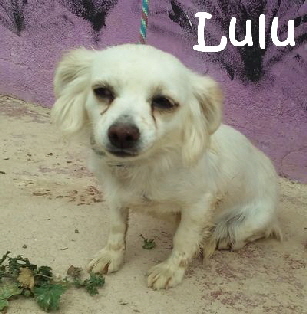 Lulu_20150531_192143(1)_mN
