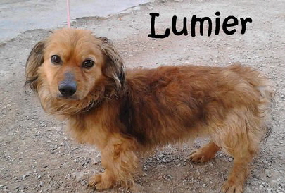 Lumier_IMG-20150410-WA0004_mN