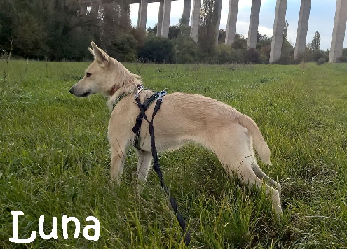 Luna_930 034_mN
