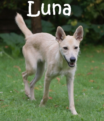 Luna_DSC08351_mN