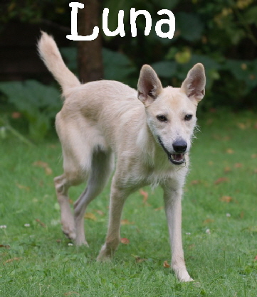 Luna_DSC08351_mN
