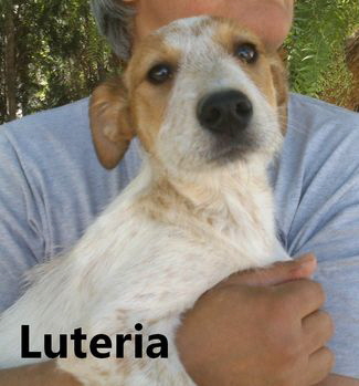 Luteria3_mitName