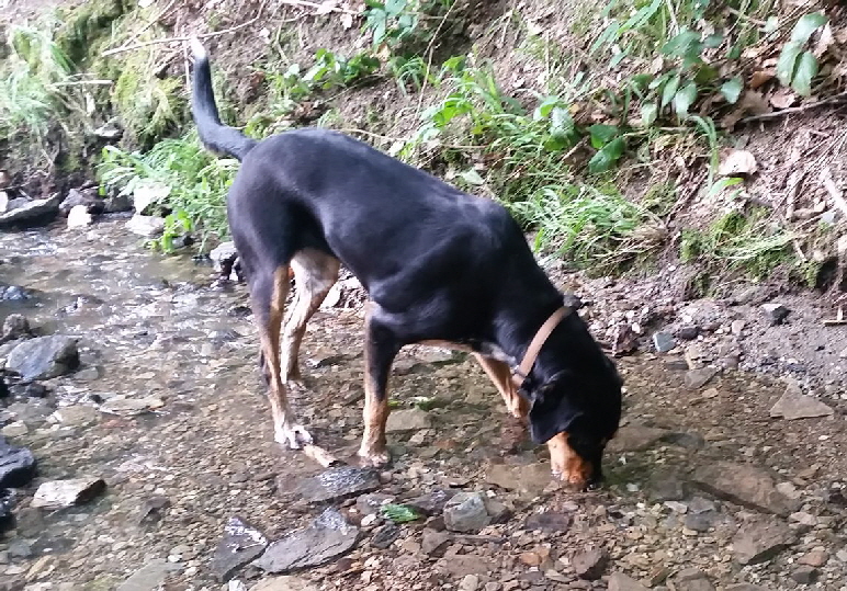 Maggie_20180608_162752