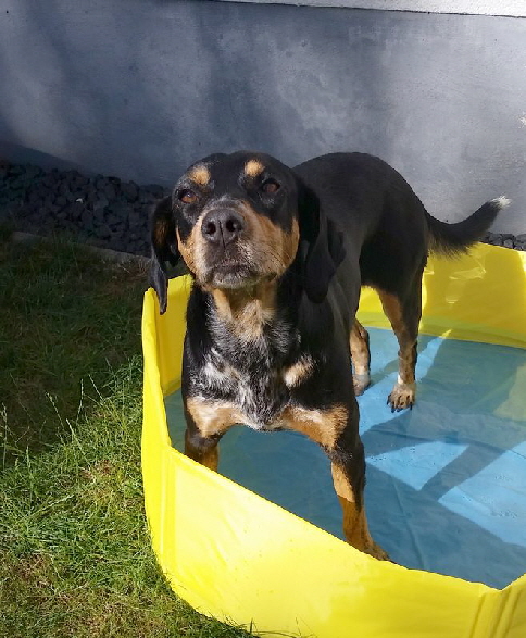 Maggie_20180716_174810