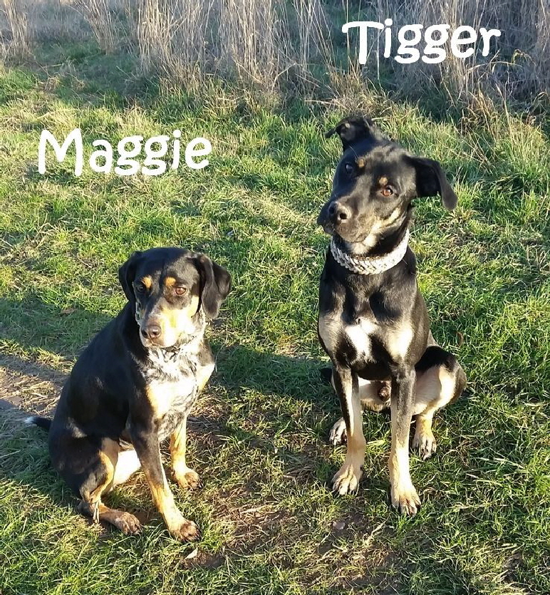 Maggie_20181118_153137