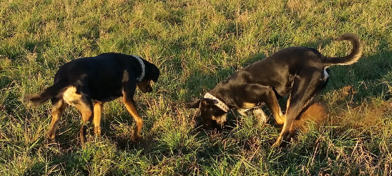 Maggie_20181118_155423