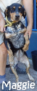 Maggie_31_mN