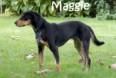 Maggie_DSC05113_mN