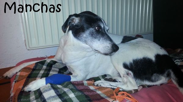 Manchas_20140902_222834_mitName