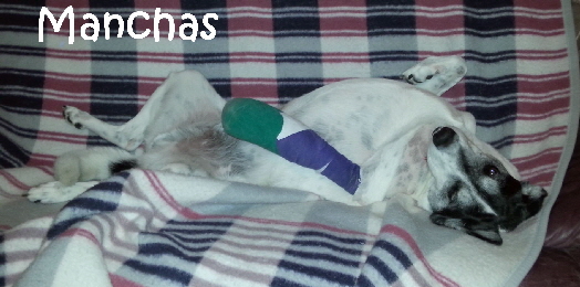 Manchas_20150717_194937-Mn