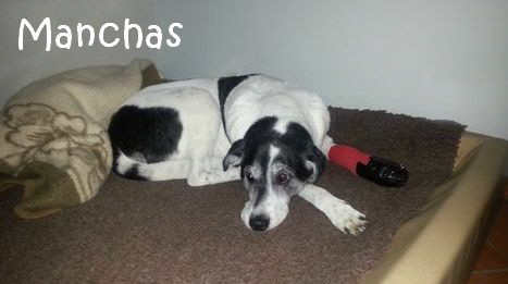 Manchas_20160120_162710_mN