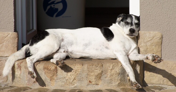 Manchas_88_2014-10-18