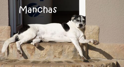 Manchas_88_2014-10-18_mN