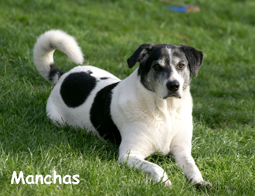 Manchas_DSC00001_mitName