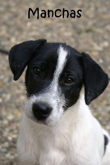 Manchas_DSC00046 Manchas_DSC00046