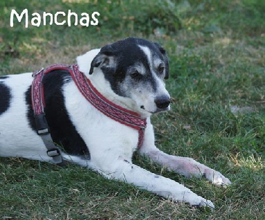 Manchas_DSC09028