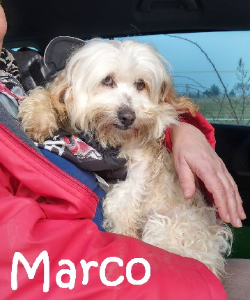Marco_IMAG0337_mN