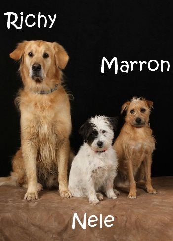 Marron+Co_IMG-20151121-WA0003_mN