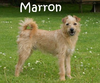 Marron_DSC07902_mN
