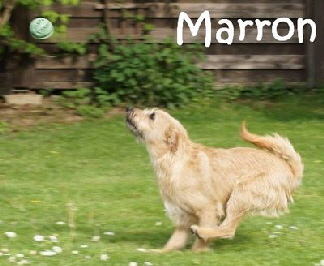 Marron_DSC07955_mN