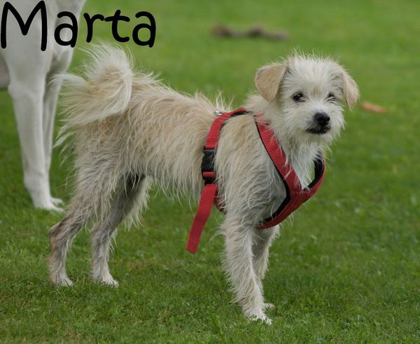 Marta_DSC05910_mitName