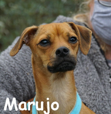 Marujo_DSC04806_mN
