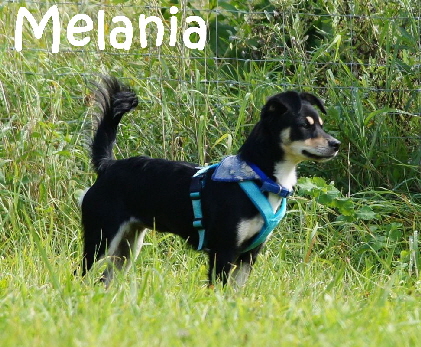 Melania_DSC08756_mN