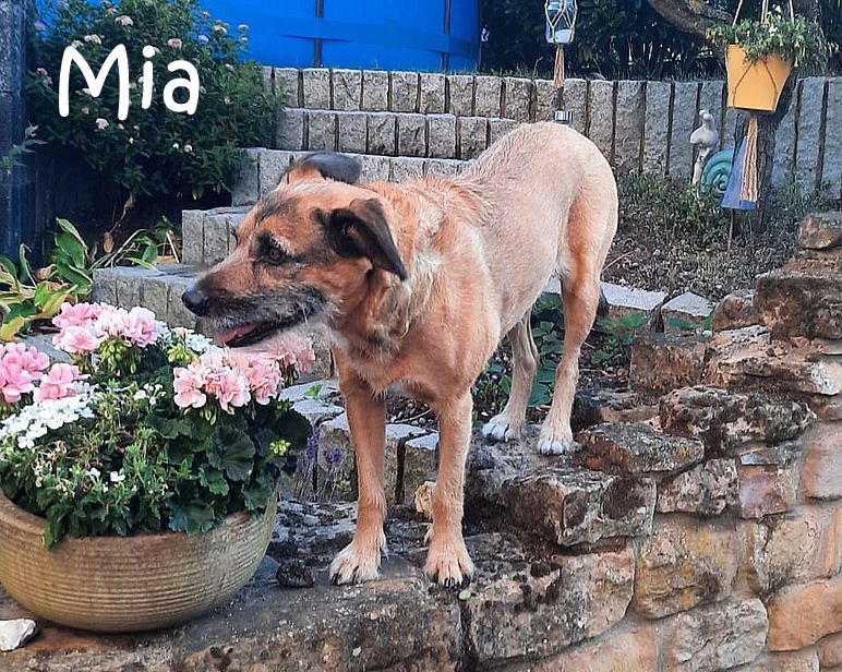 Mia_2025-07-17 at 21.49.00 (2)_mN Mia_2025-07-17 at 21.49.00 (2)_mN