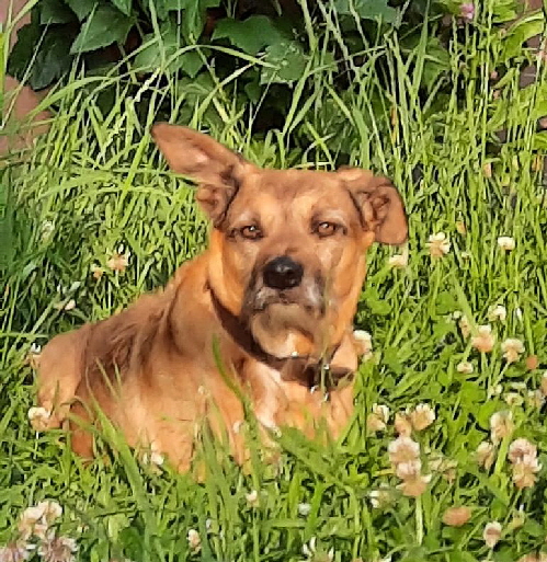 Mia_2025-07-17 at 21.49.00 (1) Mia_2025-07-17 at 21.49.00 (1)