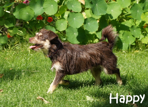 Mica+Happy_DSC06260_mitName
