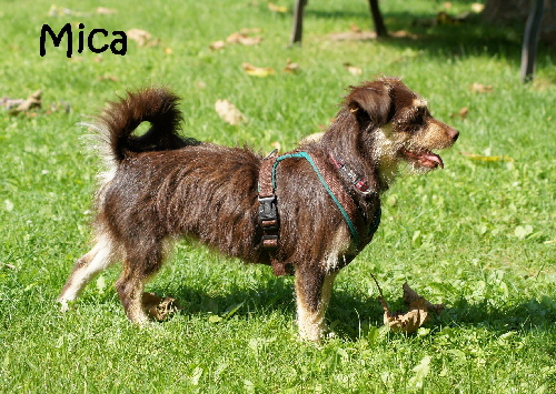 Mica+Happy_DSC06318_mitName