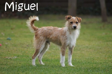 Miguel_DSC00091_mN