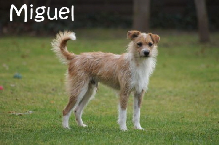 Miguel_DSC00091_mN