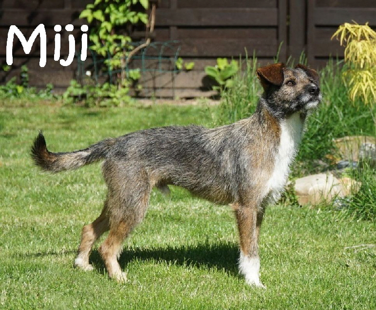 Miji_DSC00403_mN
