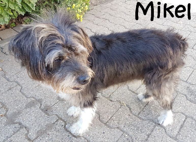 Mikel_20180822_153740_mN