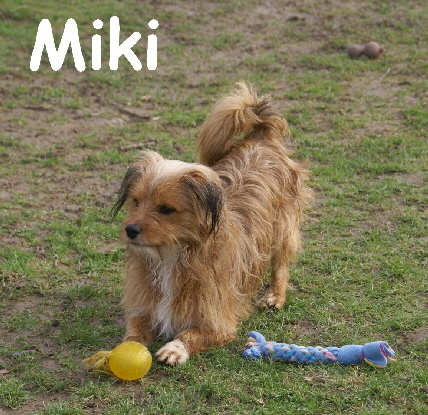 Miki_DSC00038_mN