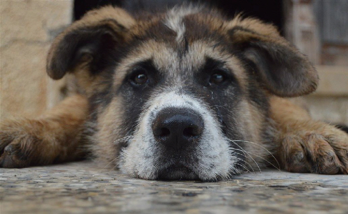 Miko_DSC_0430