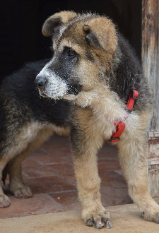Miko_DSC_0484